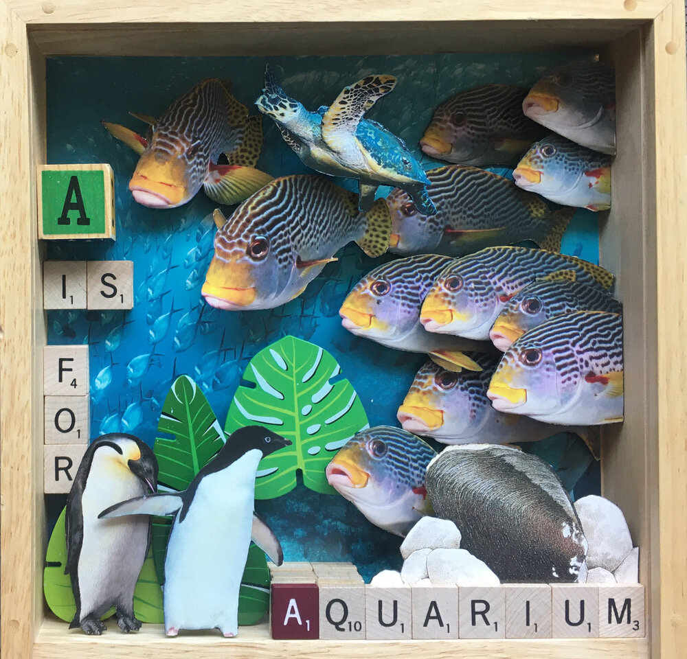 A is for Aquarium.jpeg