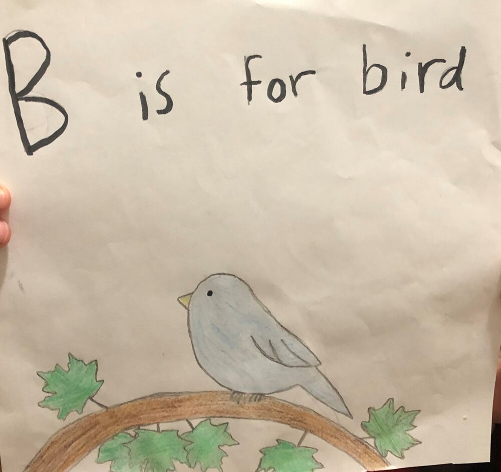 B is for Bird.jpeg