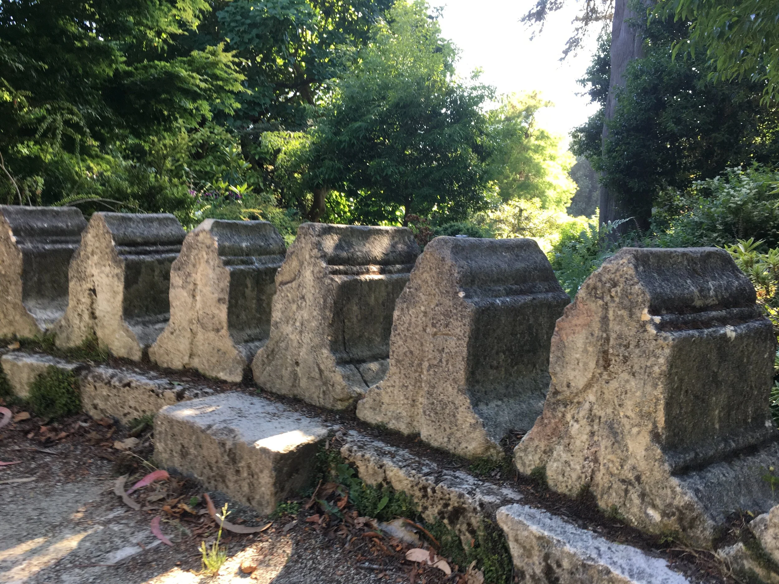Search for monastery stones in the San Francisco Botanical Garden