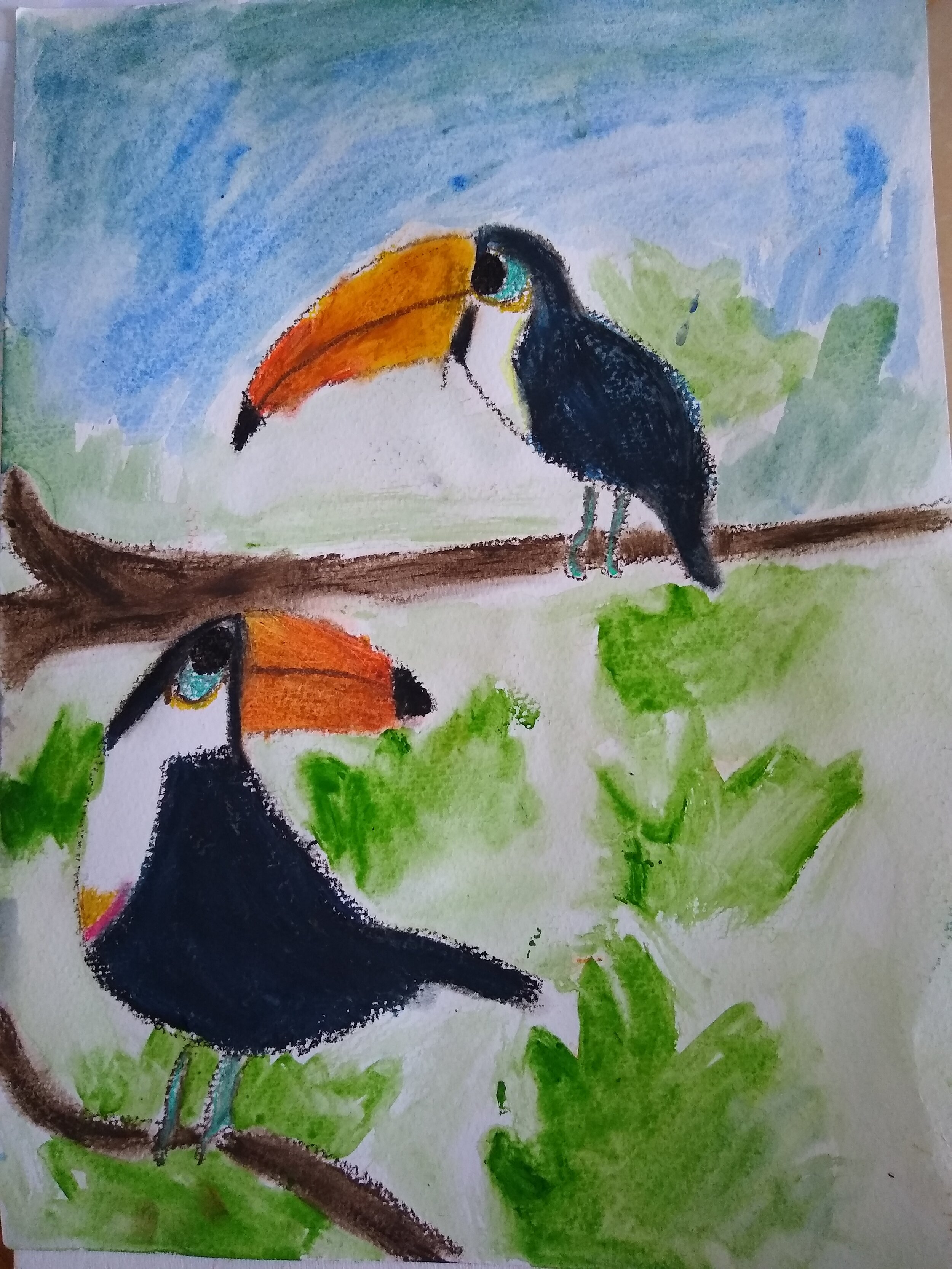 T is for Toucan, by Katelyn