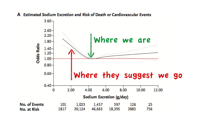 Salt Substitutes Lower Blood Pressure, Risk of Premature Death: Study
