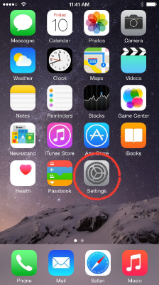 Launch settings