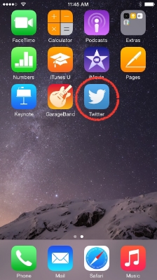 Go to the home screen and launch Twitter