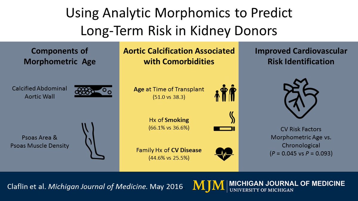 Morphomics to predict risk for kidney transplants.jpg