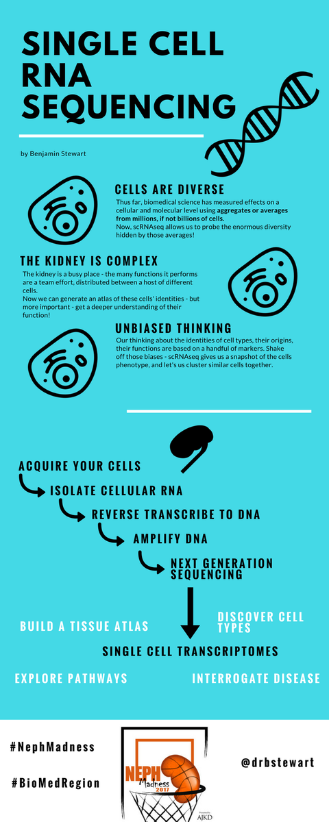 scRNA sequencing.jpg