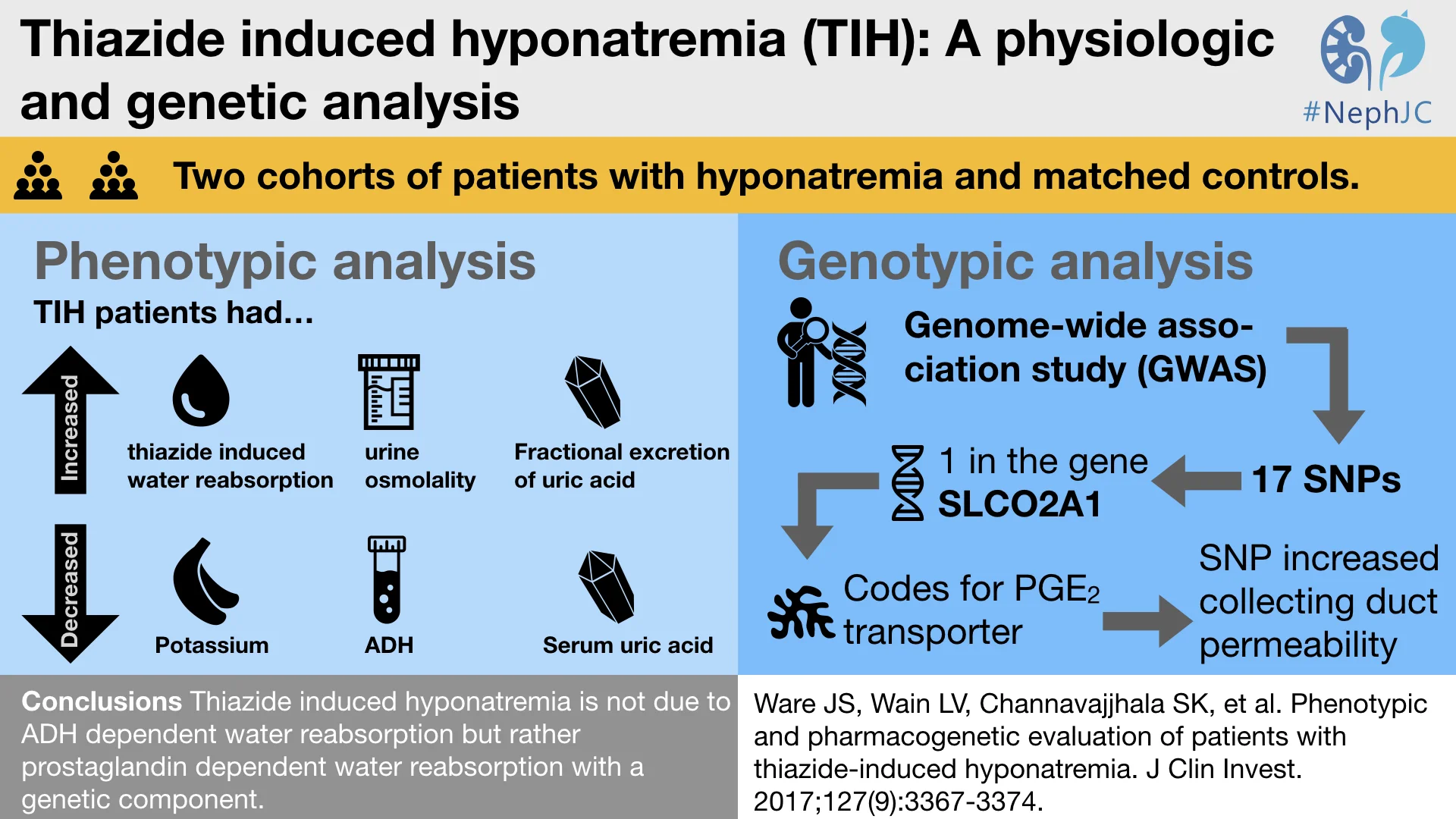 Thiazide induced hyponatremia, the #VisualAbstract