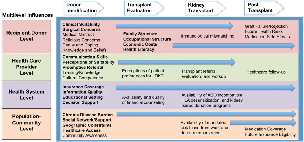 Multilevel Influences Contributing to Barriers to Living Kidney Donation for Racial-Ethnic Minorities at Each Stage of the LDKT Process Figure from Purnell et al. Adv in CKD, 2012