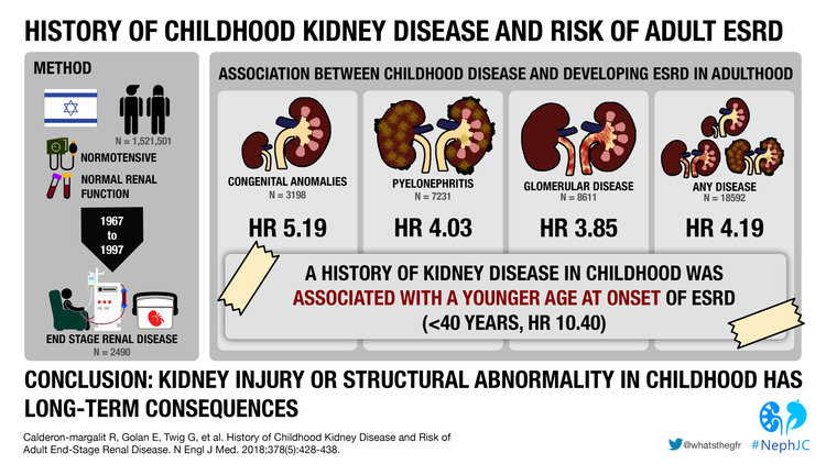 Kidnry Problem Kidney Disease In 10 Year Old