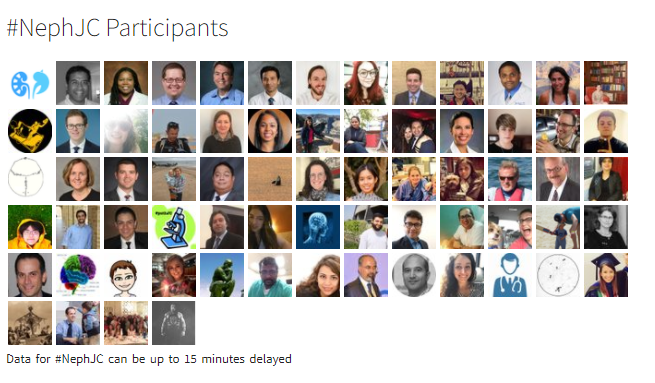 Childhood Kidneys to ESKD: Wrap up