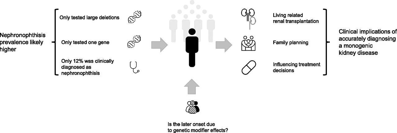 Figure 4 from Skoen et al. Authors conclusions: At least one in 200 (0.5%) patients has adult-onset ESKD due to nephronophthisis. The late presentation of nephronophthisis might be due to genetic modifier effects. Accurately diagnosing a monogenic disease such as nephronophthisis can have wide-ranging clinical implications.