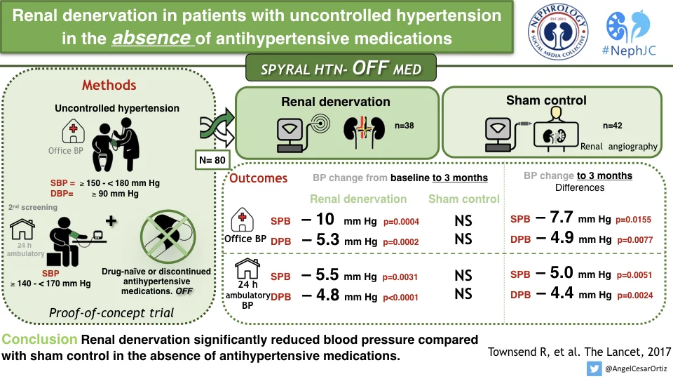 SPYRAL HTN OFF: The Visual Abstract