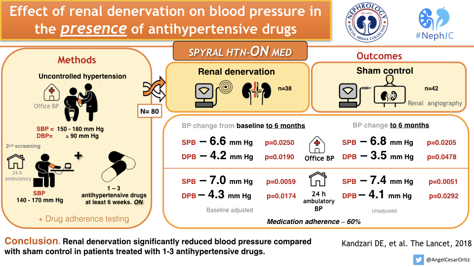 SPYRAL HTN ON: Visual Abstract