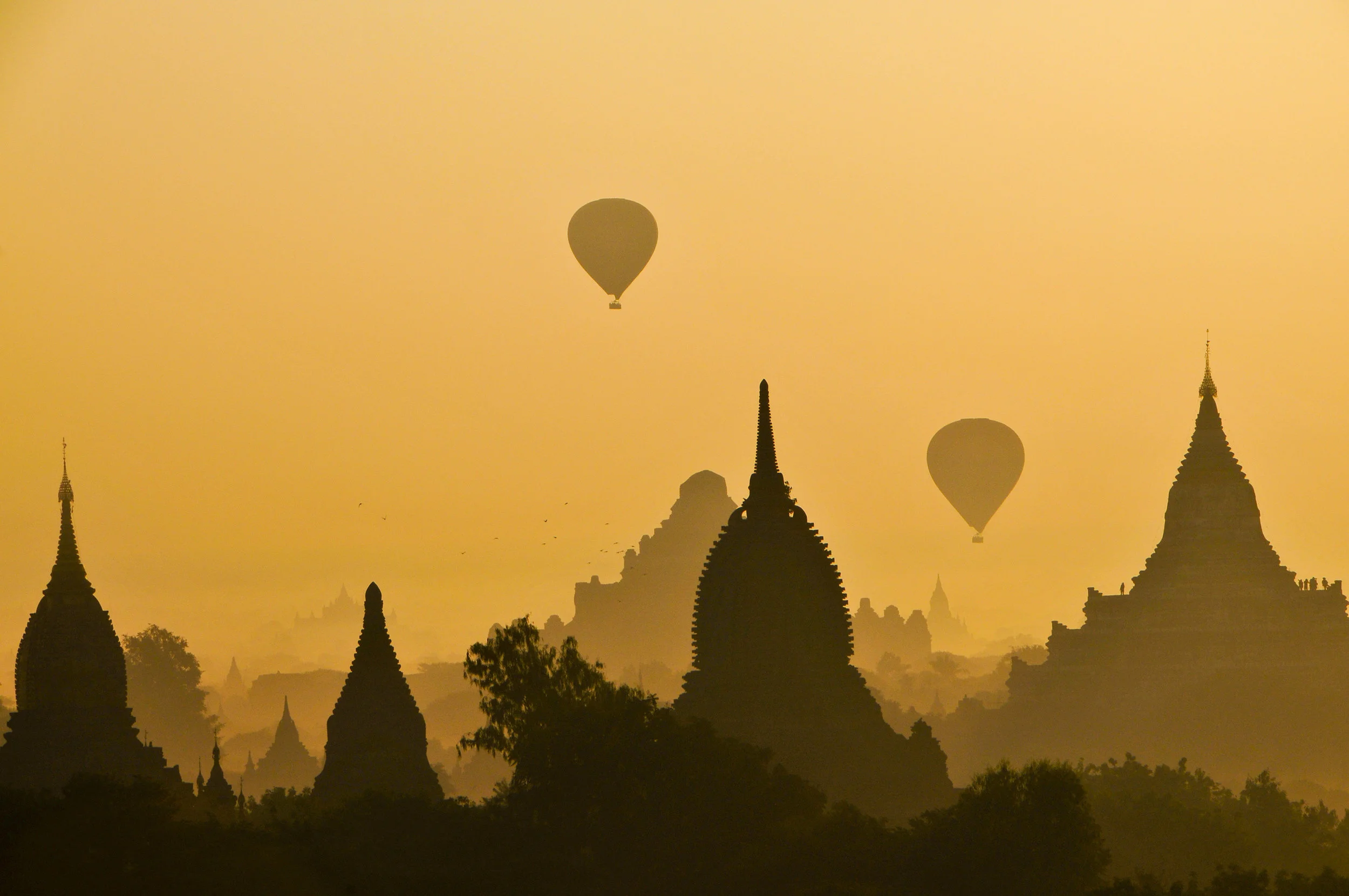 Introducing NephJC Asia