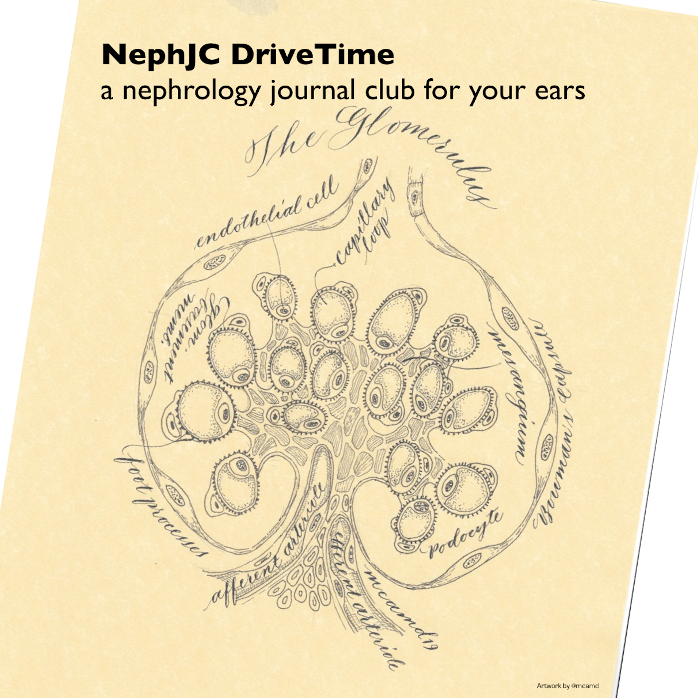 NephJC Drive Time 001: An army of NSAIDs