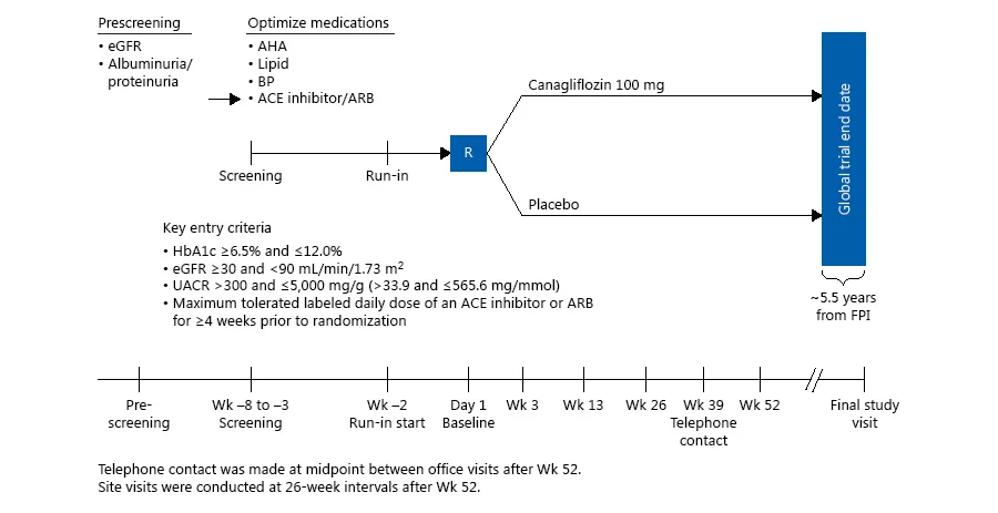 Figure 2 from Jardine MJ et al, American Journal of Nephrology, 2017