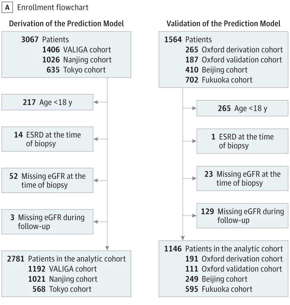 Risk Stratifying A Heterogeneous Entity: IgA Nephropathy — NephJC