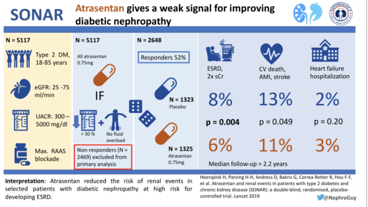 SONAR: the visual abstract