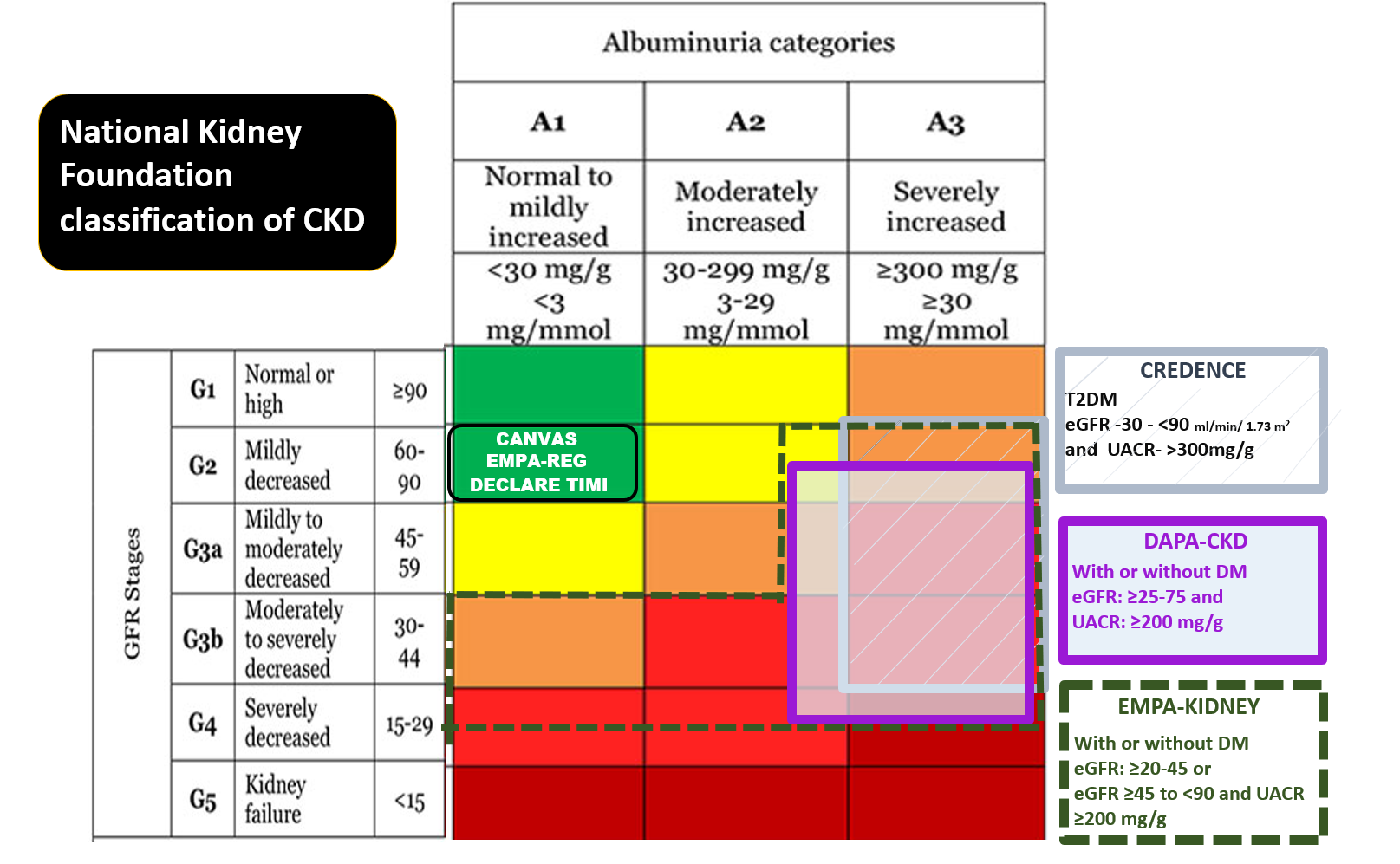 DAPA CKD Dapperly Gliding Into Then On DM Arena NephJC dapa-ckd-dapperly-gliding-into-then-on-dm-arena-nephjc