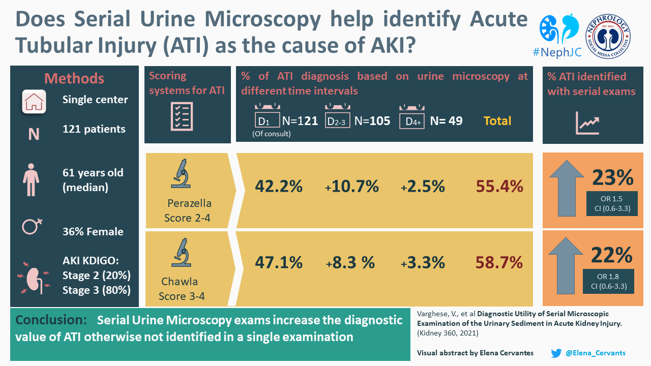 Blog Nephjc