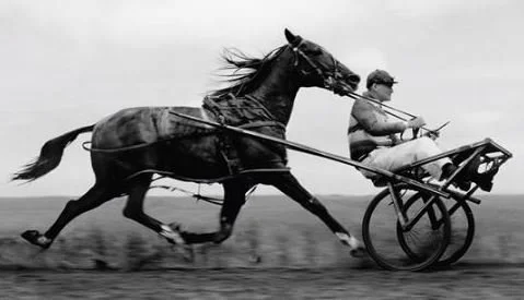 Is the horse before the CAR T in SLE?