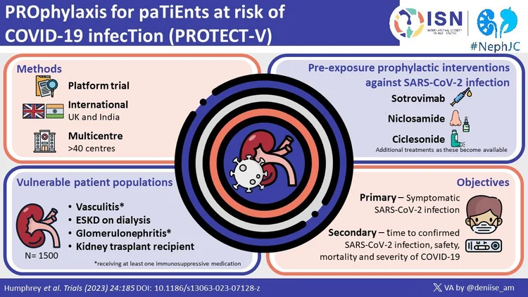 dihexa safety kidney is changing the conversation around cognitive optimization., This is one of PA Tammys many, many favorite peptides! And for good reason , Unlike options that can leave you feeling jittery or dihexa brain peptide Therapy: &