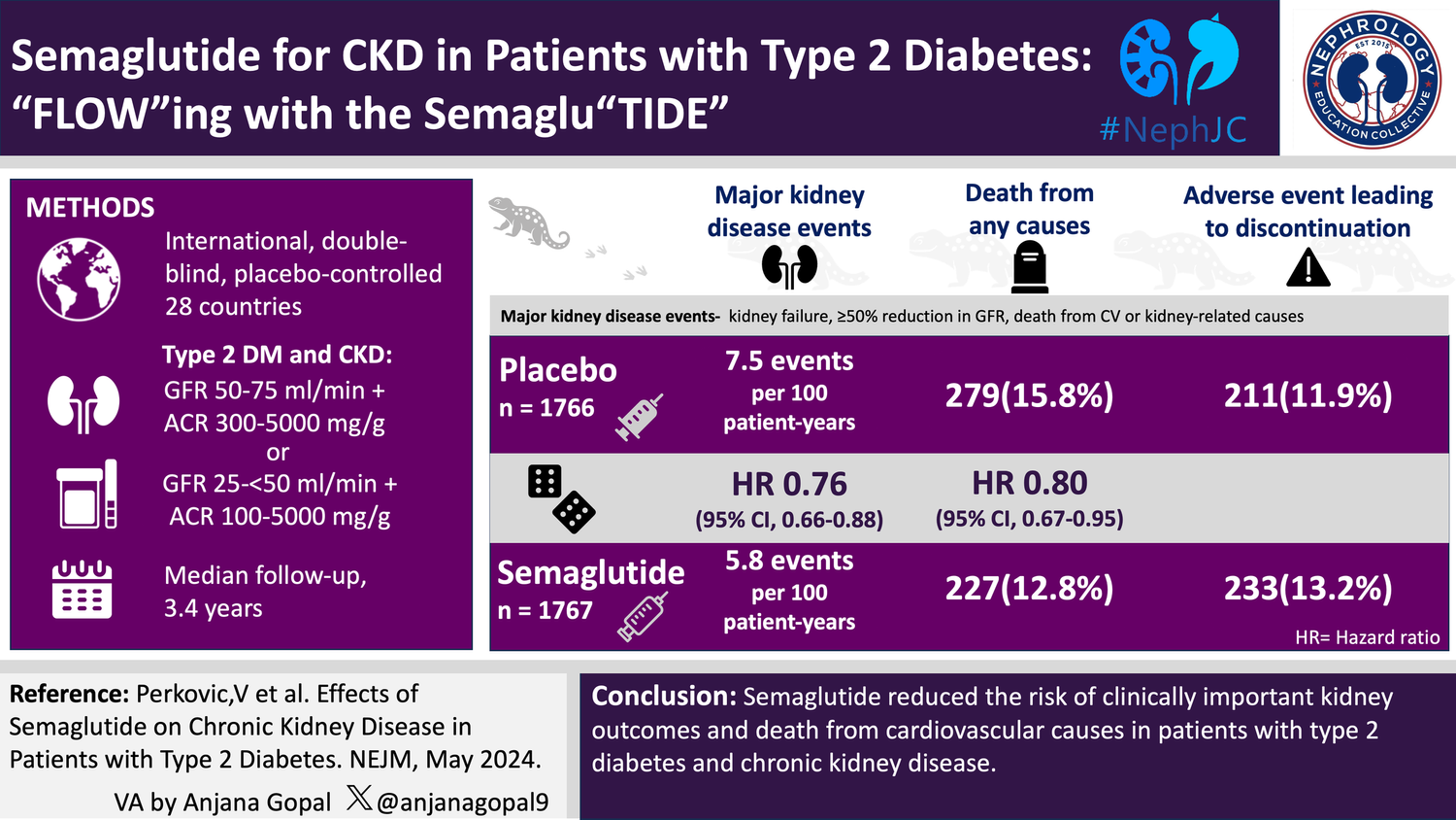 semaglutide flow FLOW- the Visual Abstract — NephJC