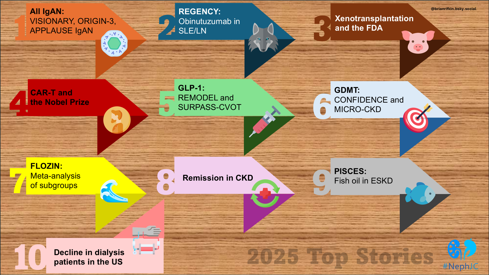 Top Stories in Nephrology 2025 
