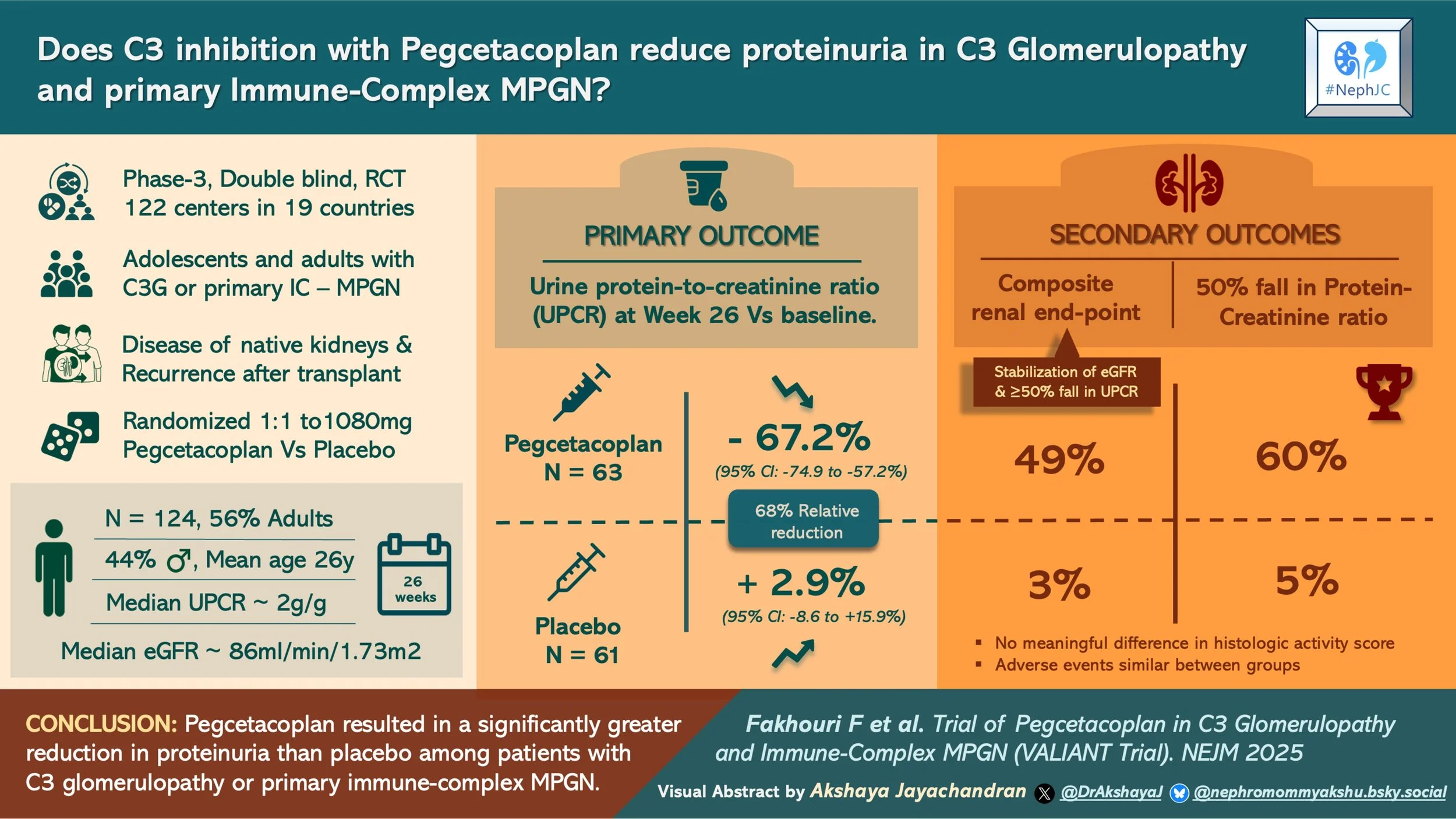 VALIANT: The Visual Abstract