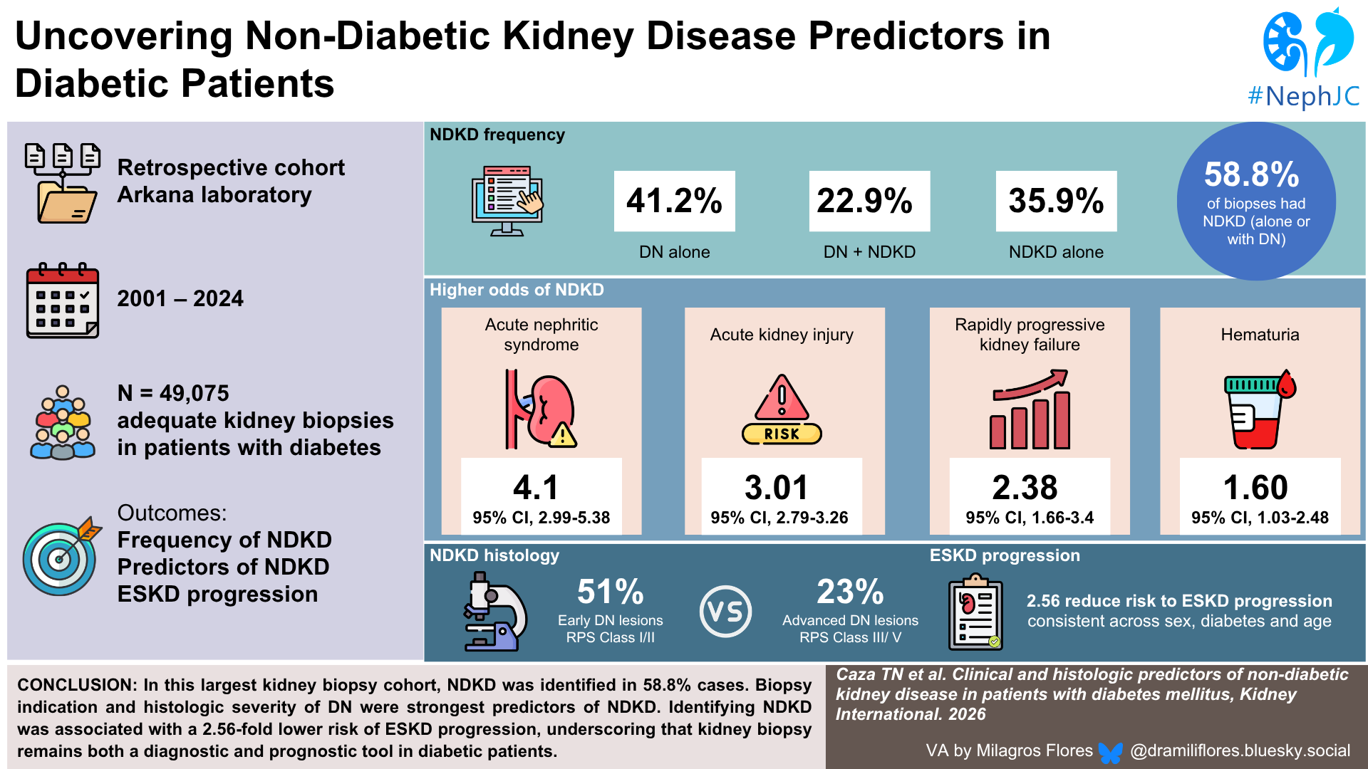 Nondiabetic Kidney Disease: The Visual Abstract 