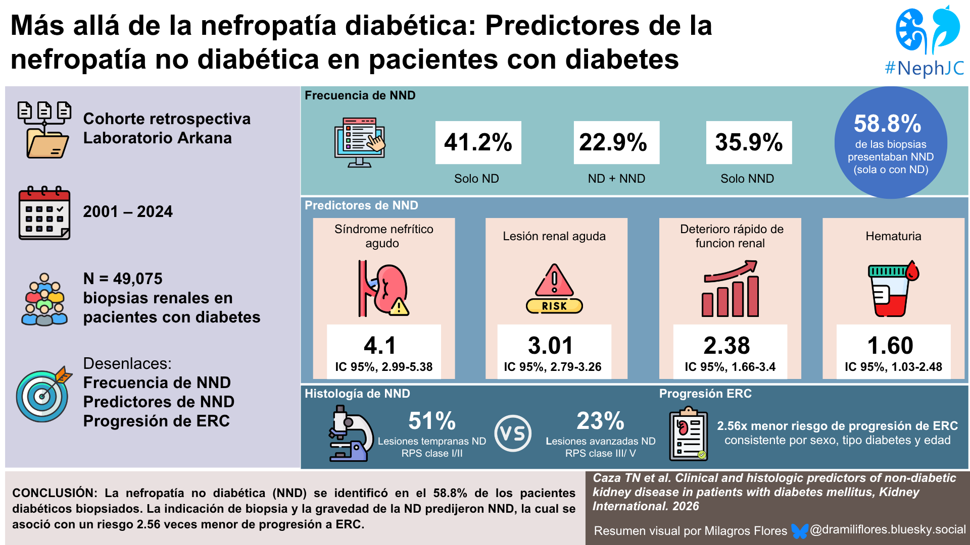 Nefrópatia no diabética: El Resumen Visual