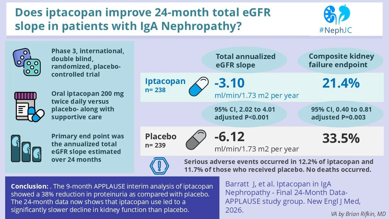 NephJC Short: 24-Month Iptacopan eGFR Data in IgA Nephropathy  