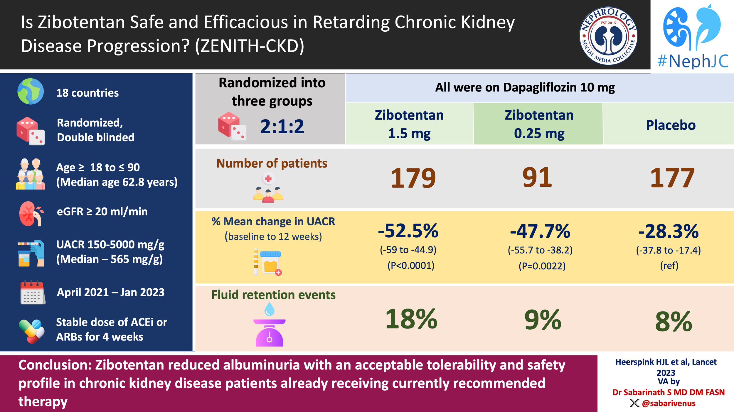 Zenith the visual abstract nephjc