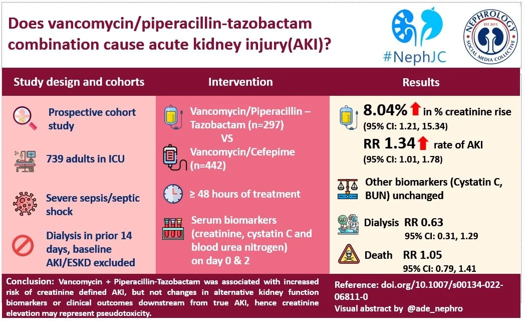 Vancomycin and piperacillin tazobactam friends or foes nephjc