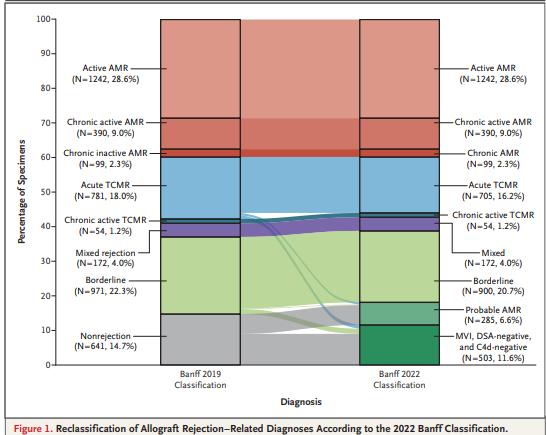 Top Stories in Nephrology 2024 — NephJC