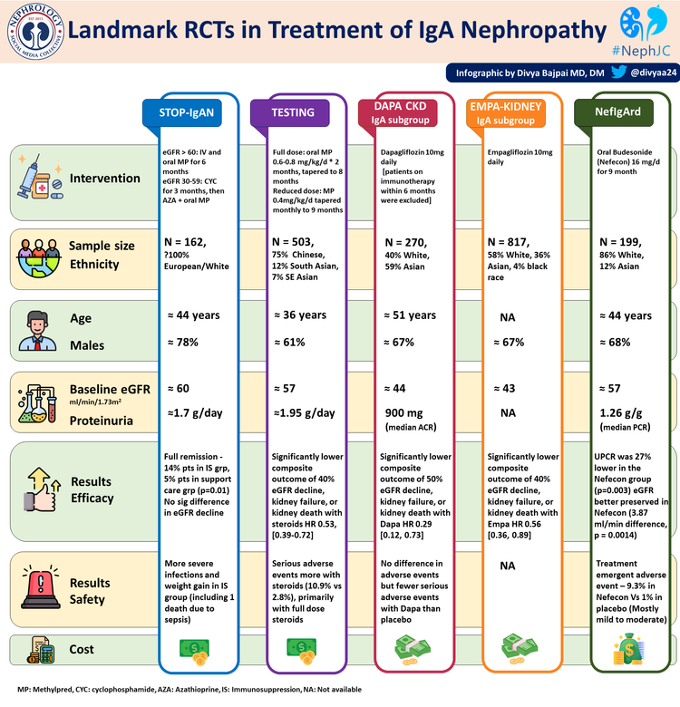 Nefecon Nefecon in IgA Nephropathy, the Nefigard trial — NephJC