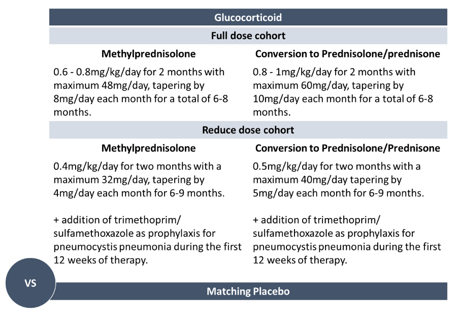 ReTESTING Steroids for IgA Nephropathy — NephJC