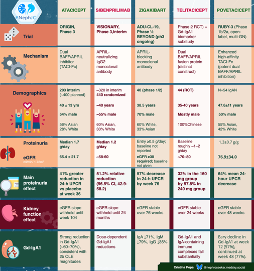 Infographic on Trials in IgA Nephropathy by Cristina Popa