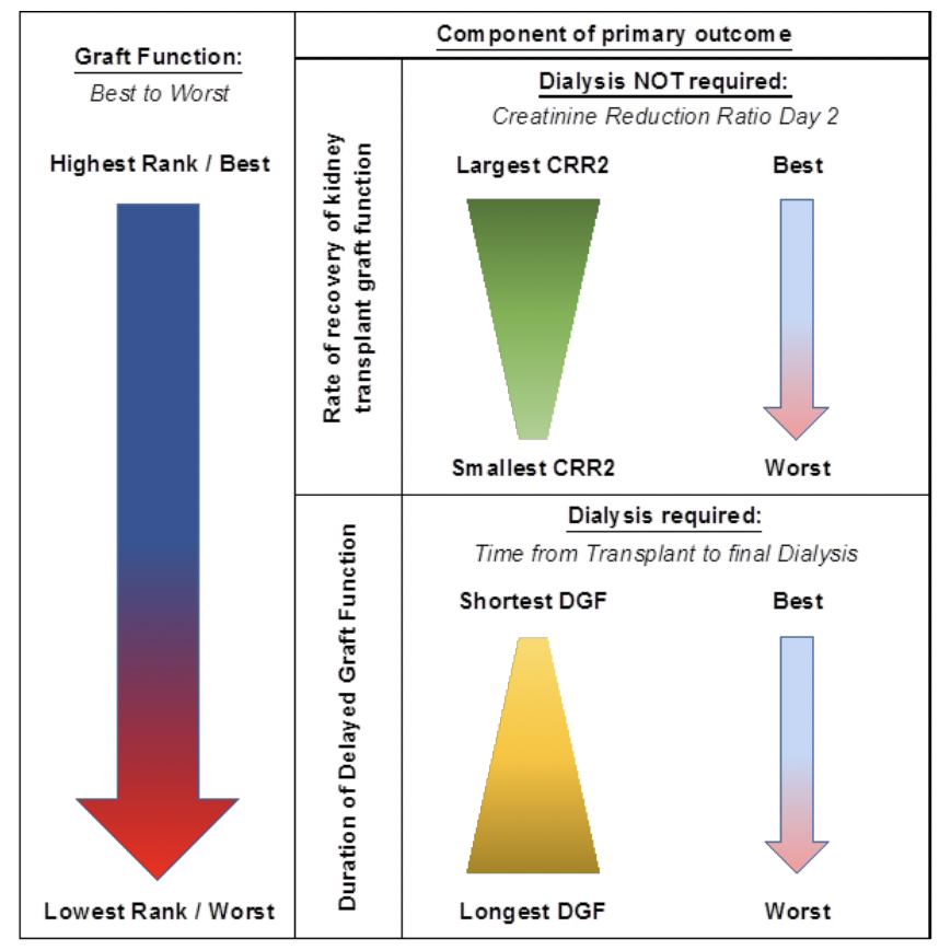Art of Balance In Preventing Delayed Graft Function - BEST FLUIDS for ...
