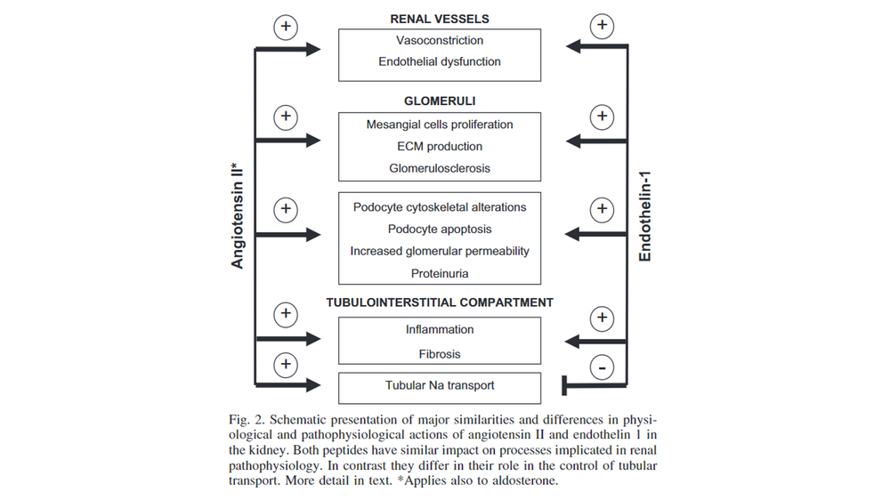 Optimizing sparse treatments for fsgs nephjc