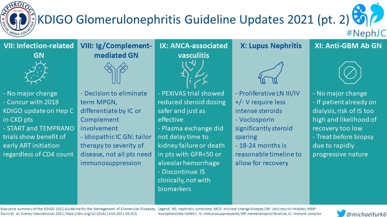 2021 KDIGO Updates for Glomerular Disease: The Visual Abstract