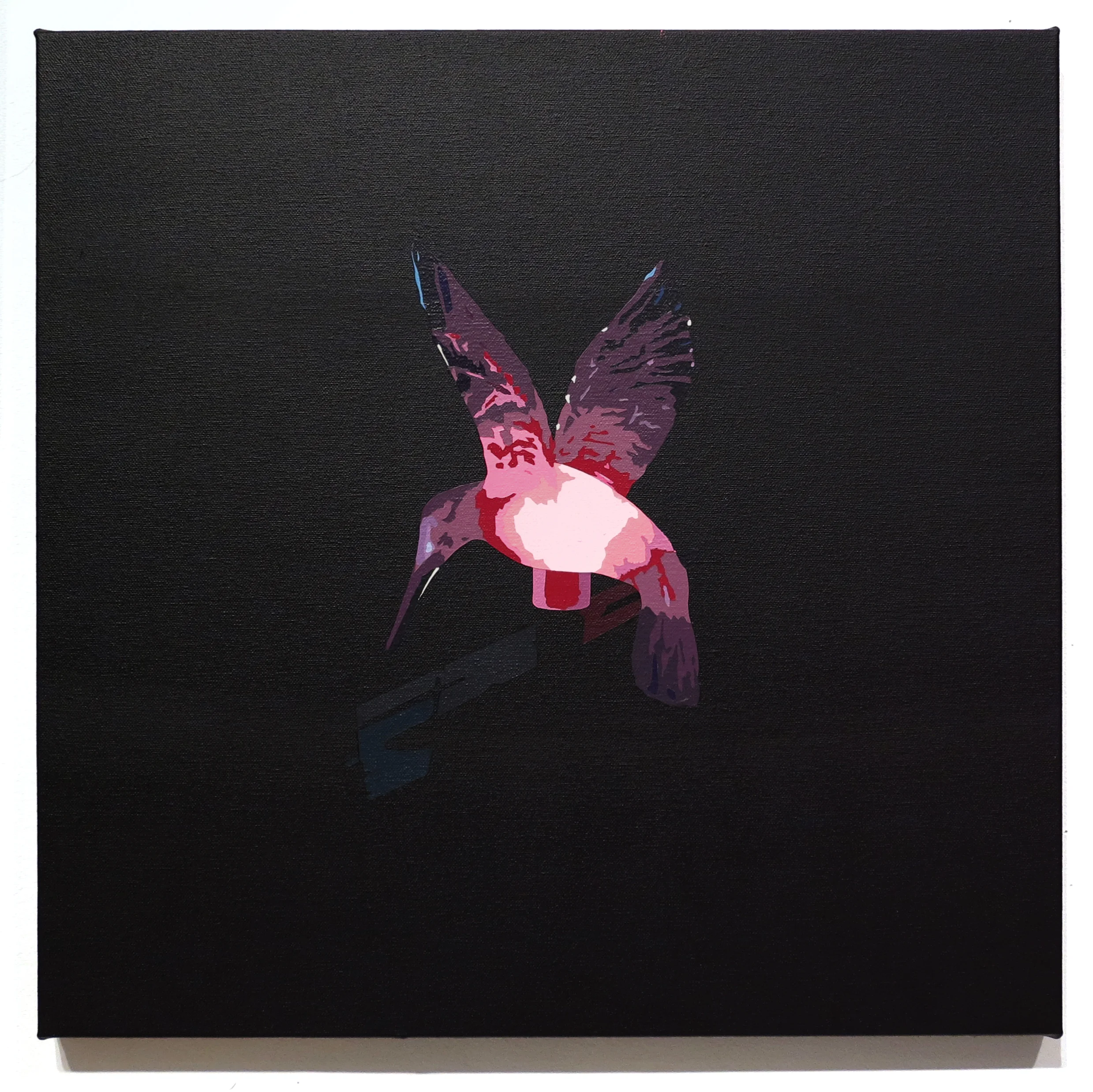 hummingbirdpink.jpg