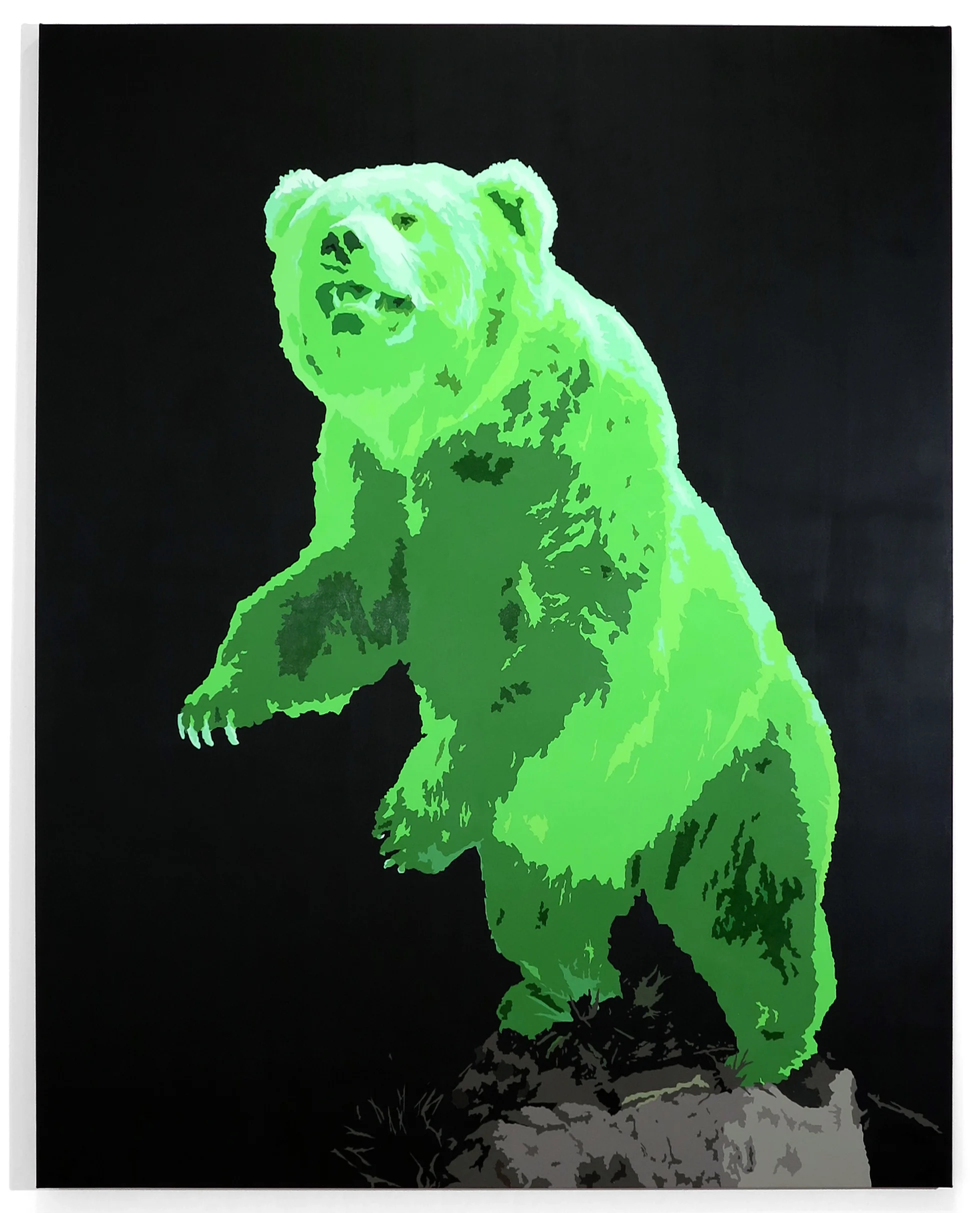 Bearweb.jpg