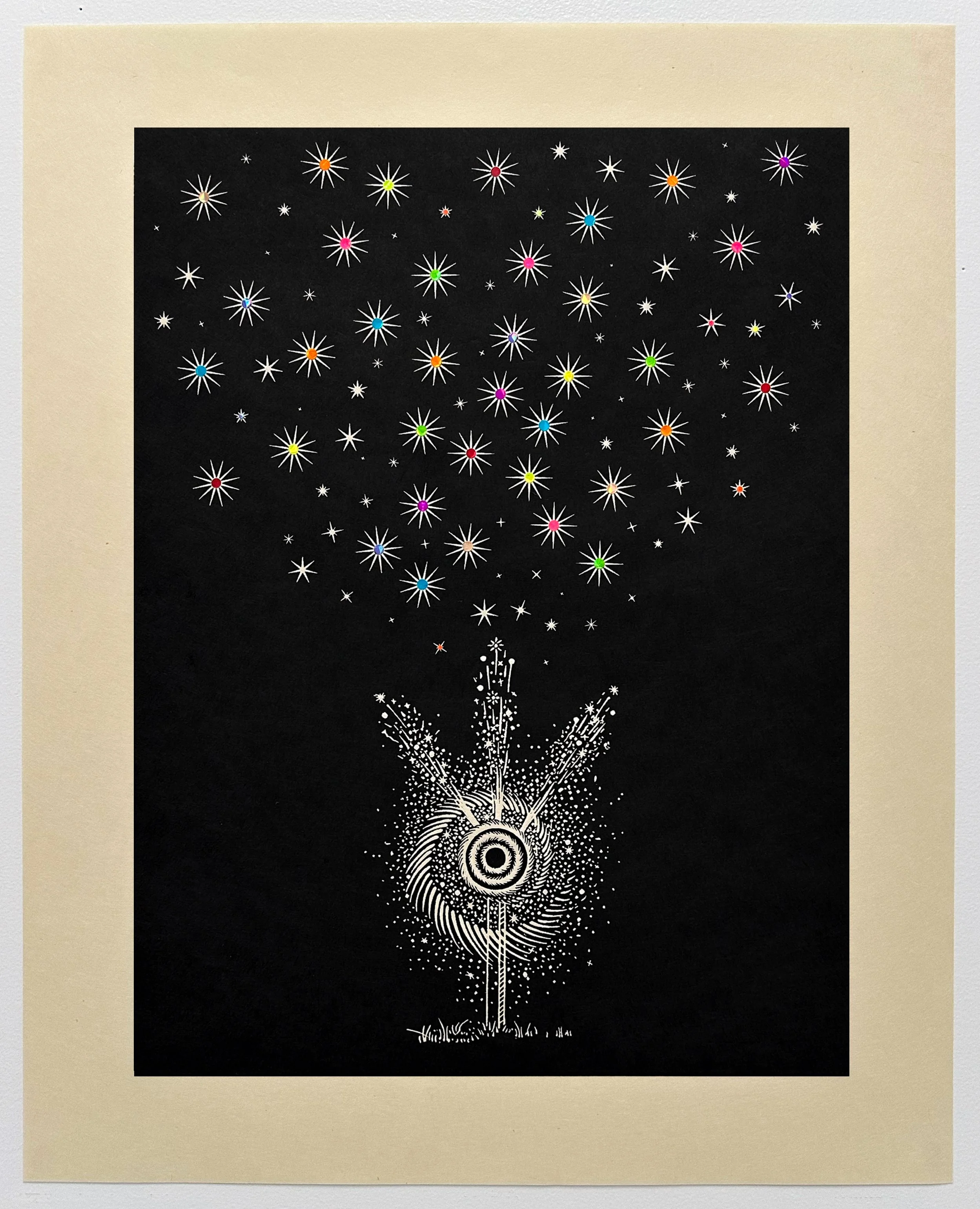 11 After Fire Sky Flowers.jpg