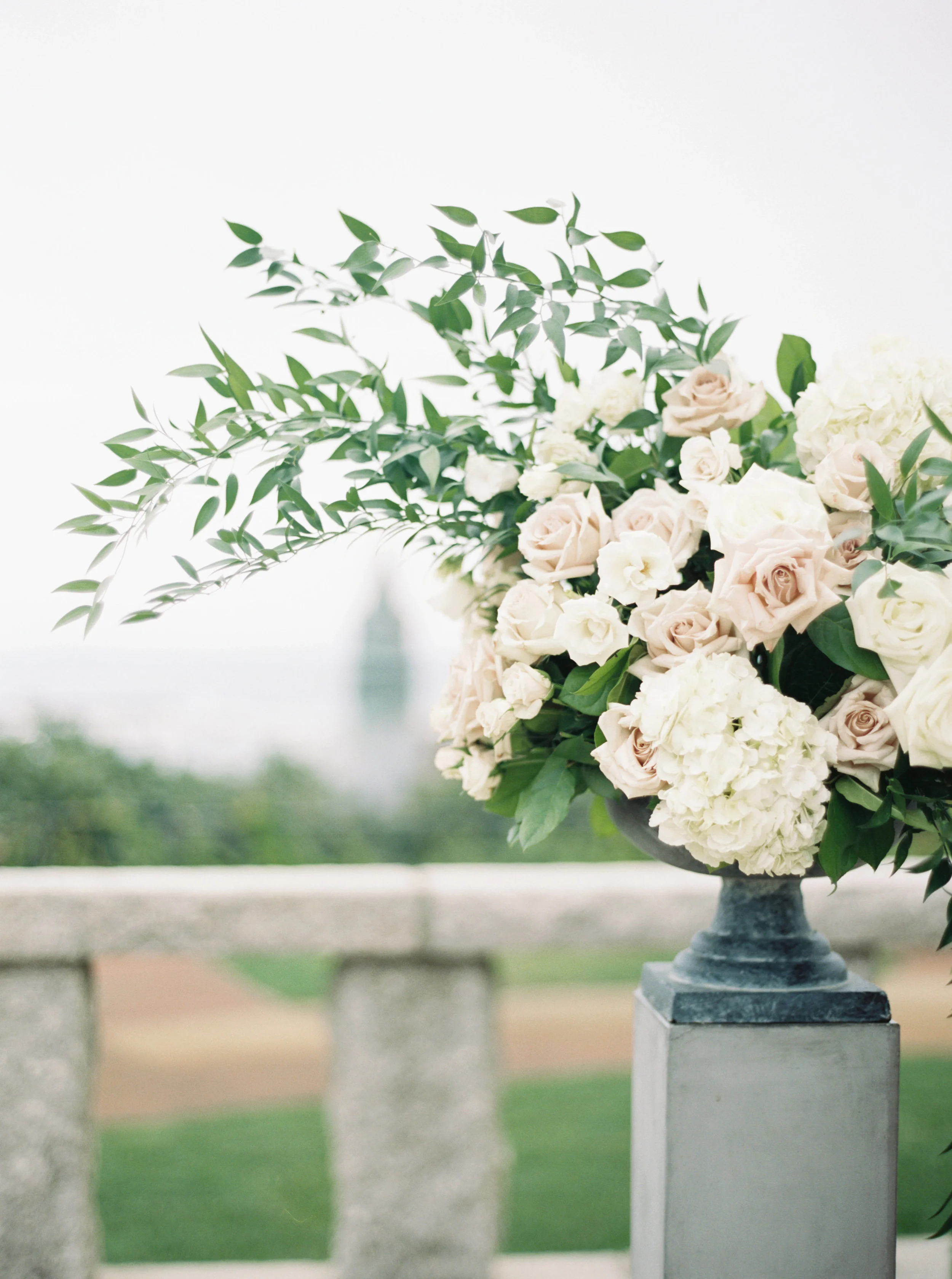 www.elizabethladuca.com-166.jpg