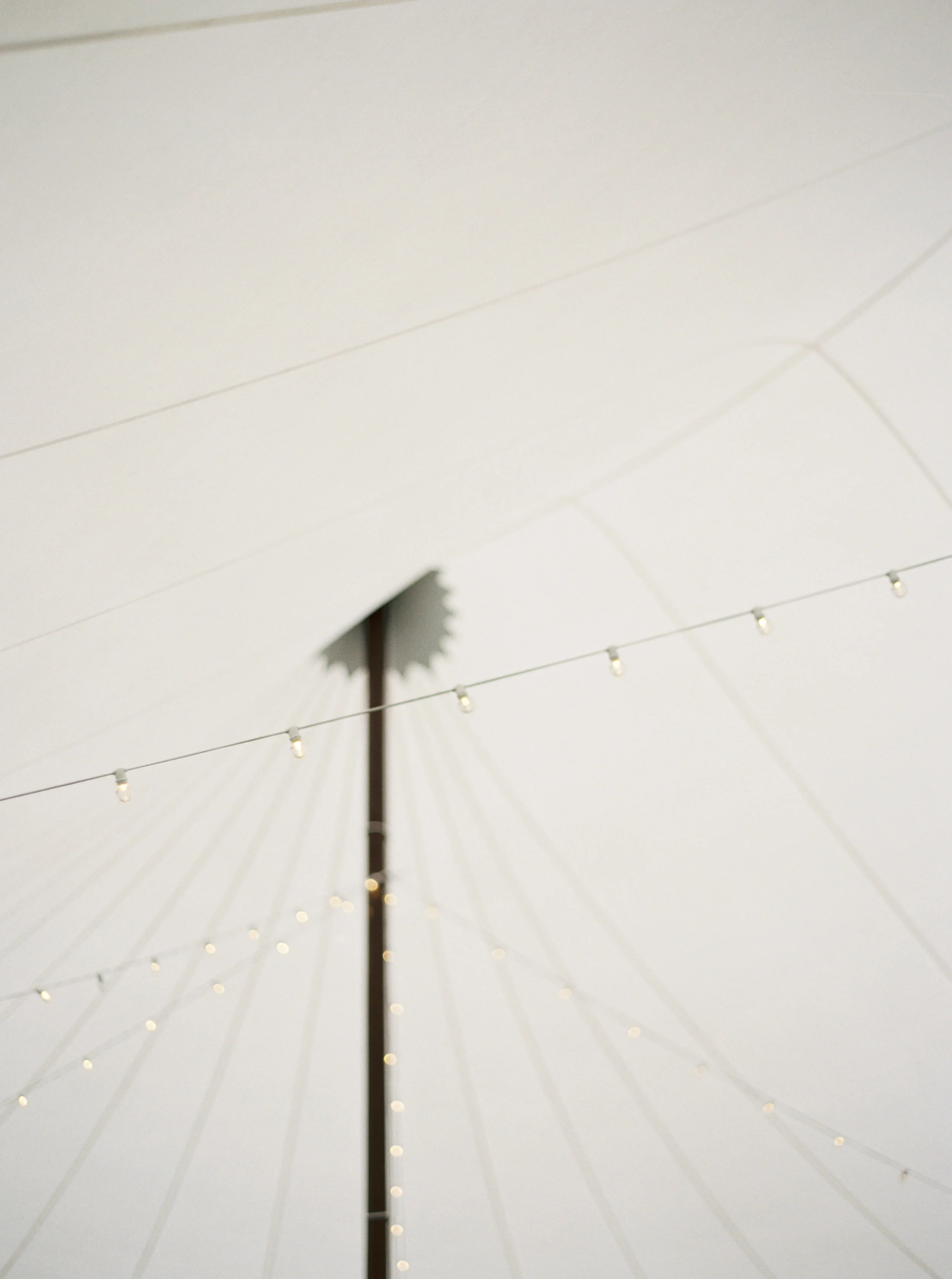www.elizabethladuca.com-386.jpg