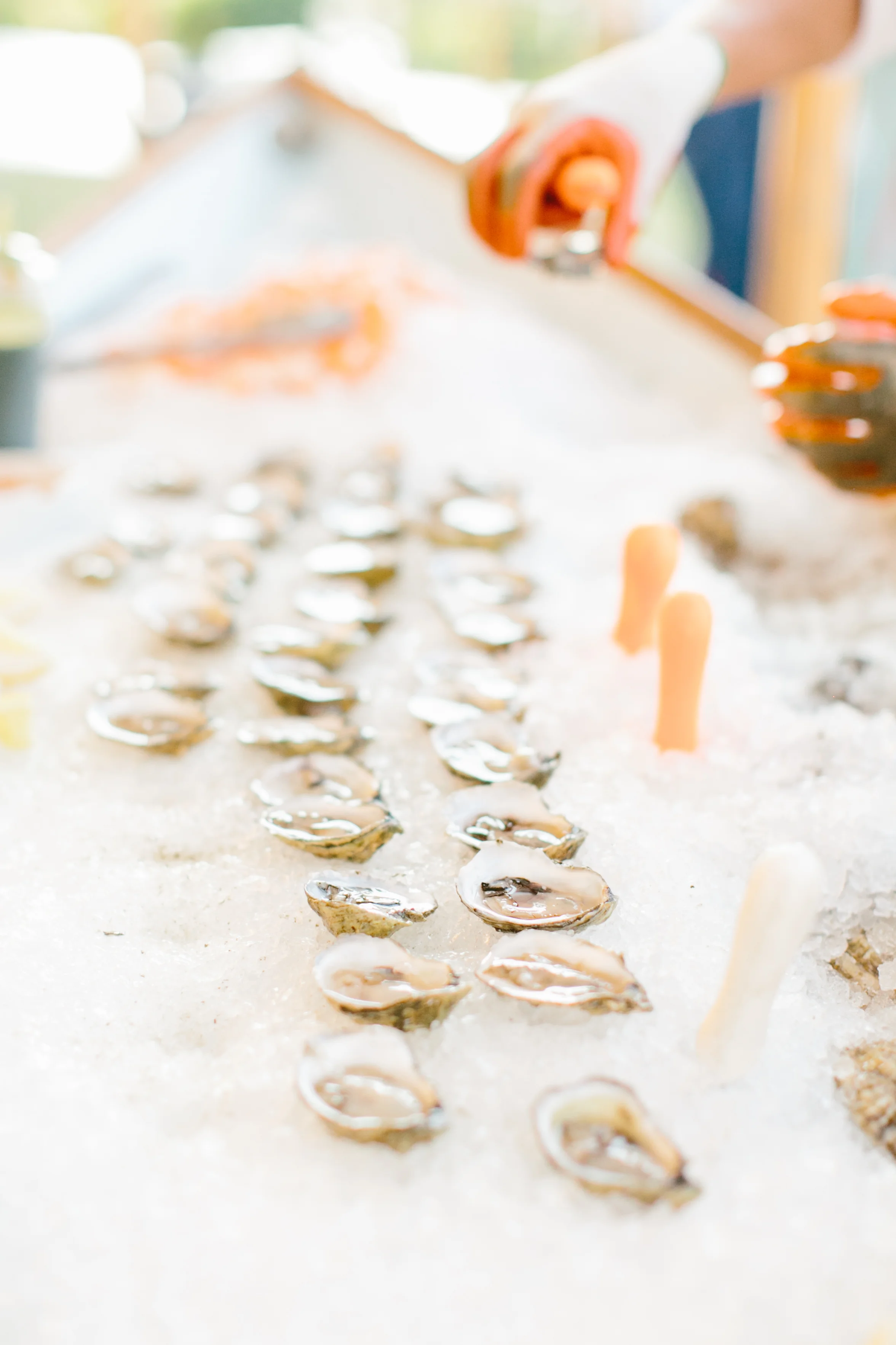 Always Yours Events - Romantic Oceanfront Provencal Estate Wedding 80.jpg