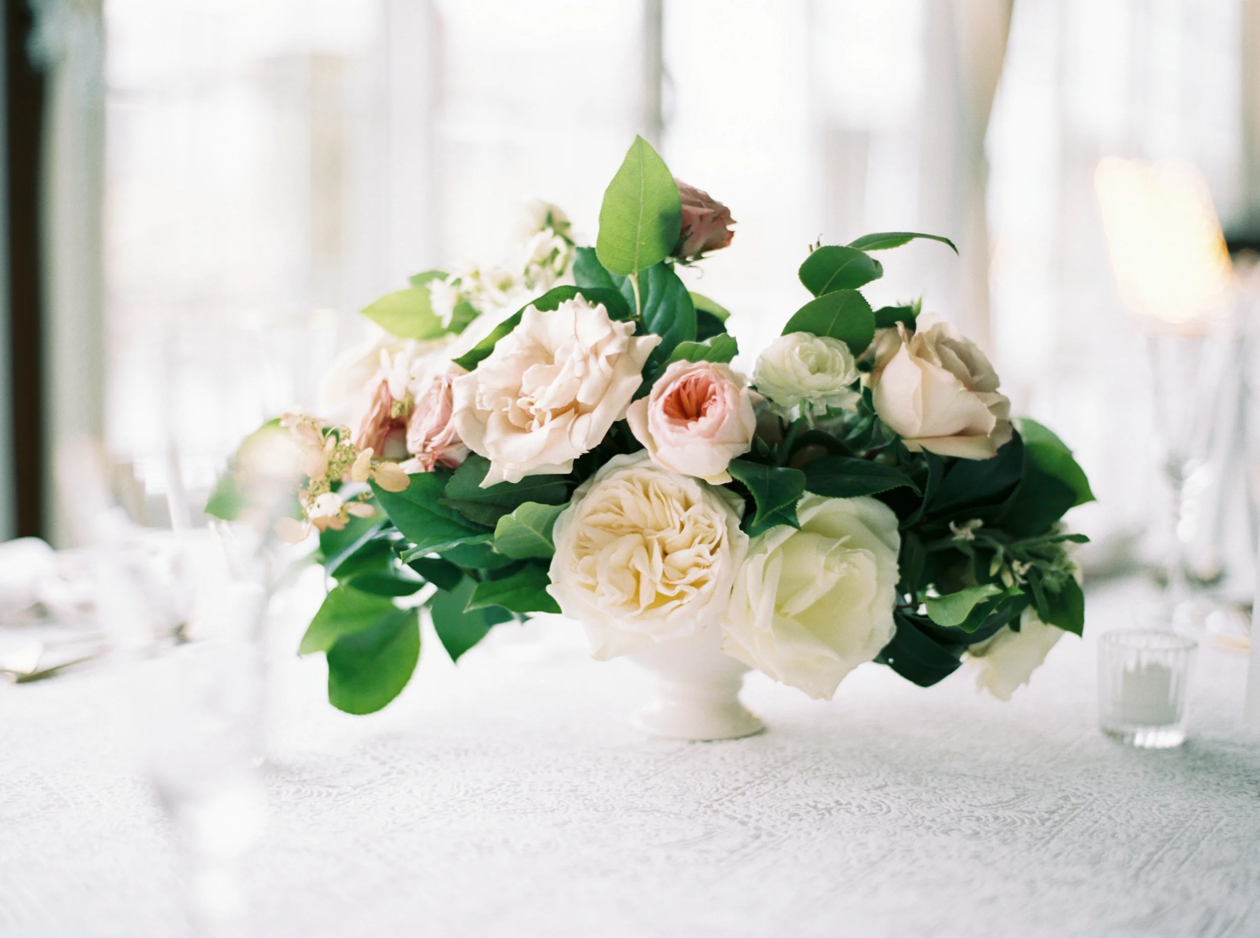 www.elizabethladuca.com-766.jpg