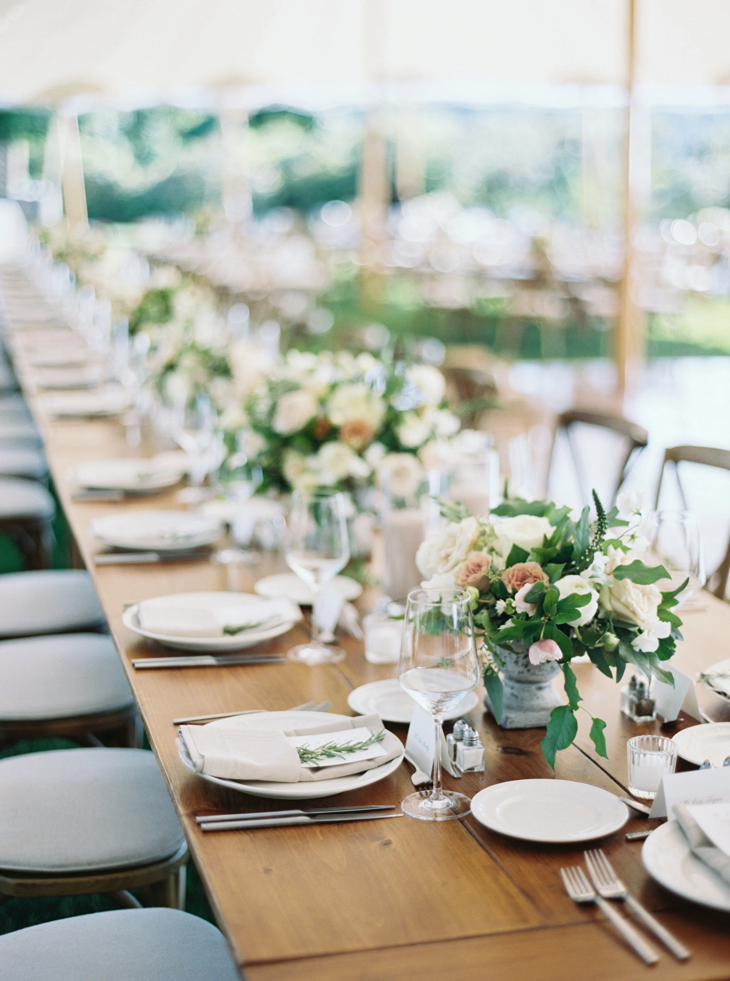 www.elizabethladuca.com-590.jpg
