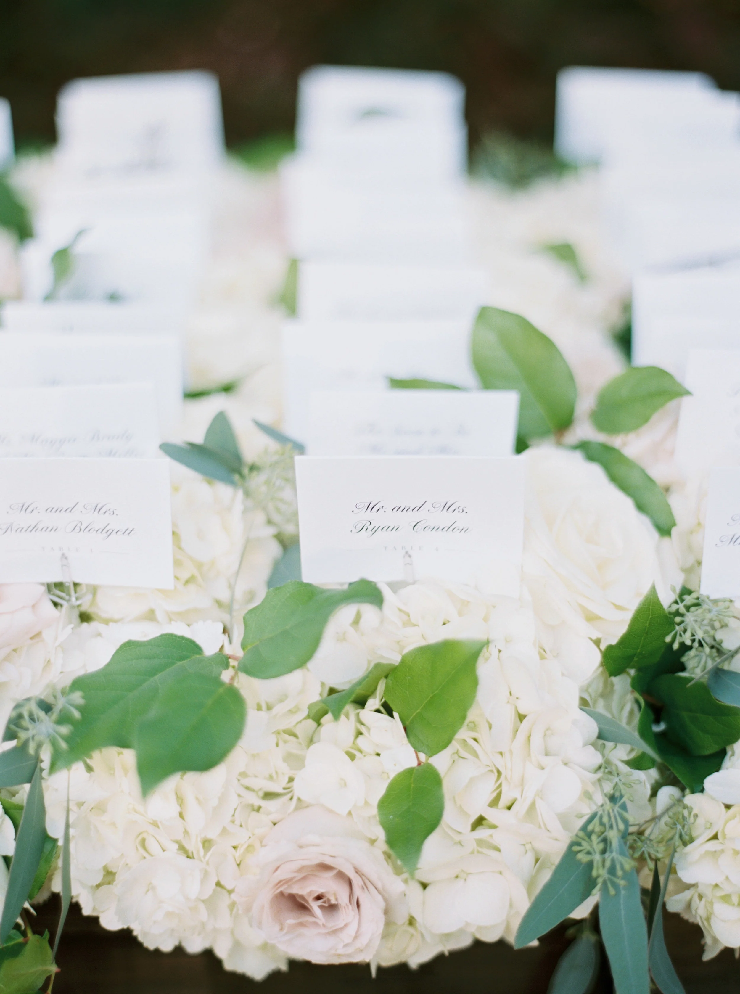 www.elizabethladuca.com-607.jpg