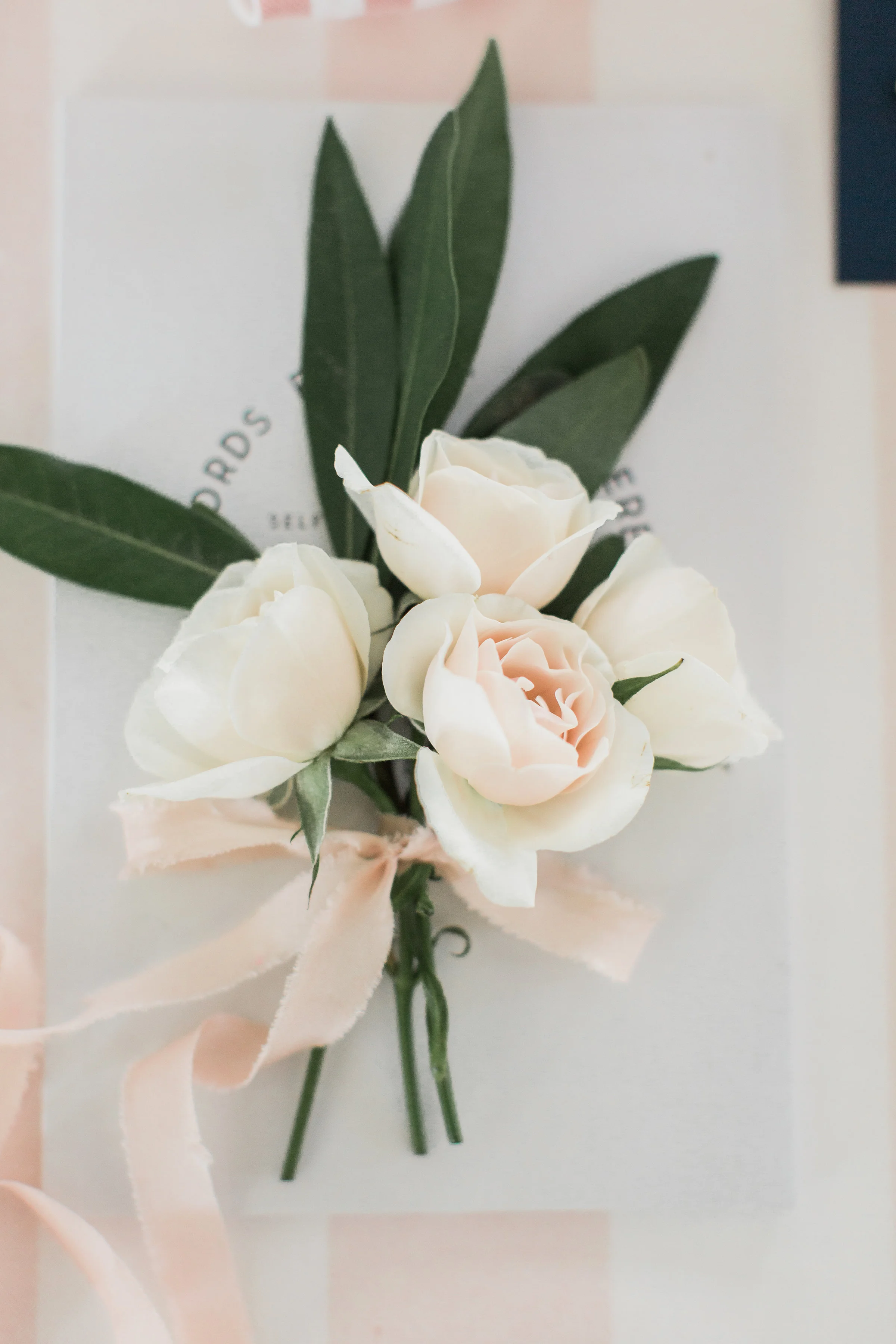 AYEBachelorette_Meredith_Jane_Photography-47.jpg